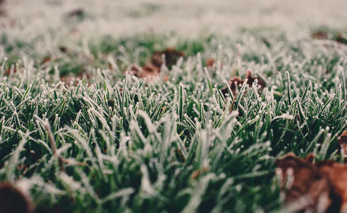 why winter is an ideal time to install a smart irrigation system for your chattanooga landscape 
